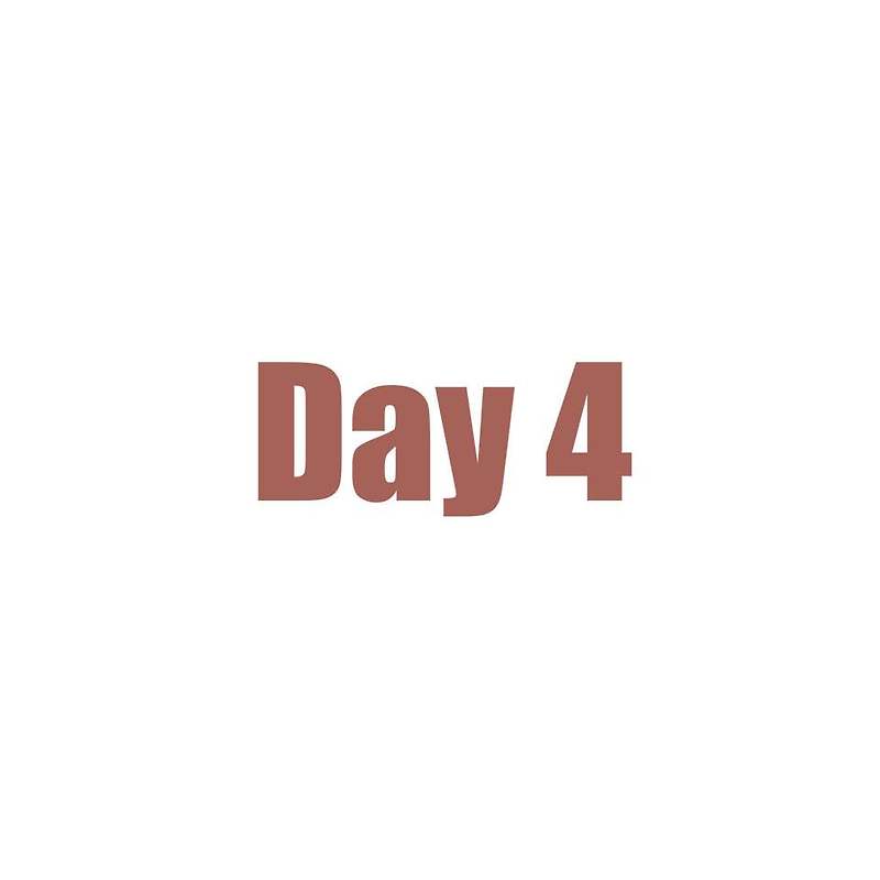 토익 Day 4