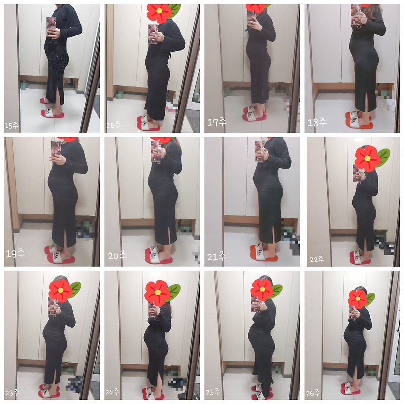 초산, 예비 딸맘의 주수사진 - 임신 후 배 모양 변화 사진 (15주~26주)