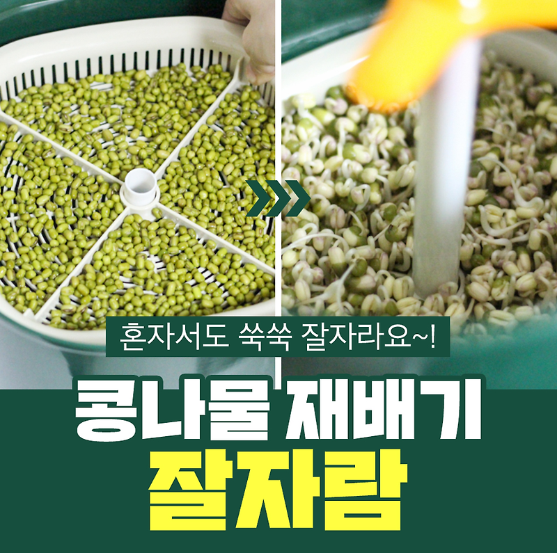 오늘의 잇템 ) 자이글 콩나물 채소 재배기 잘자람