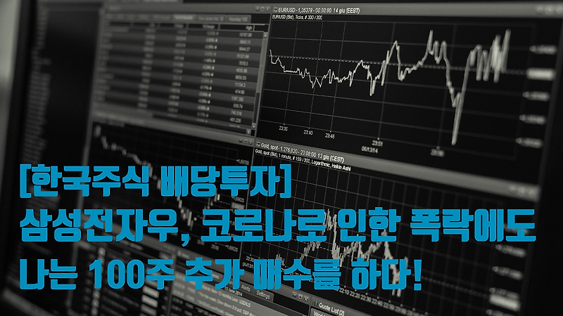[한국주식 배당투자] 삼성전자우, 폭락에도 나는 100주 추가 매수하다!