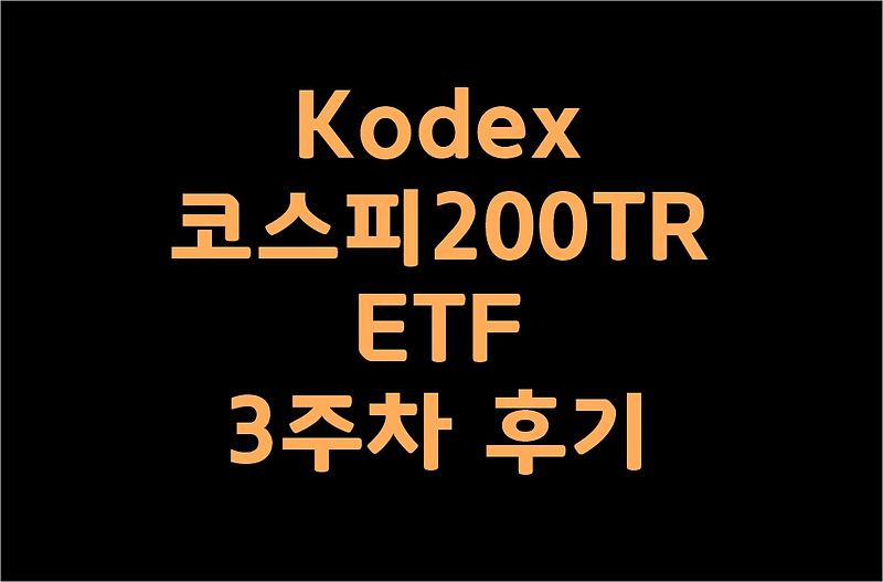 Kodex 코스피200TR ETF 3주차 후기