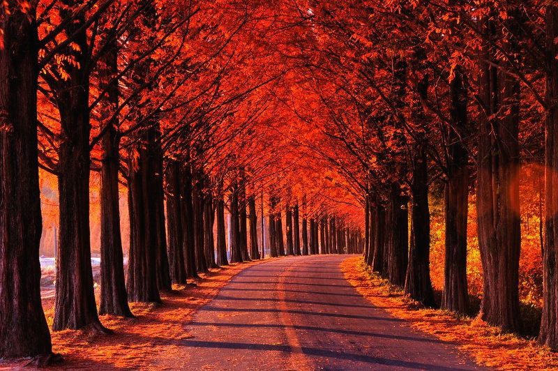 국내 가을 여행지 추천, 가을을 즐기는 선택지