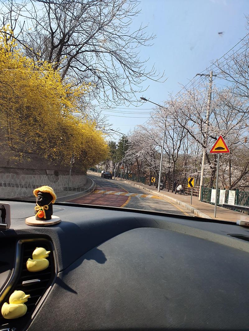 서울 벚꽃드라이브 추천지