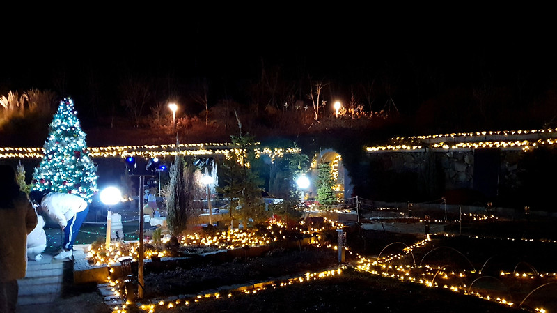 경남 창원 가볼만한 곳'진해보타닉뮤지엄 야간빛축제'