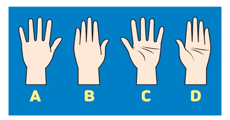 (심리테스트) 당신에게 손을 내밀어보라고 했을 때 당신의 손모양은?