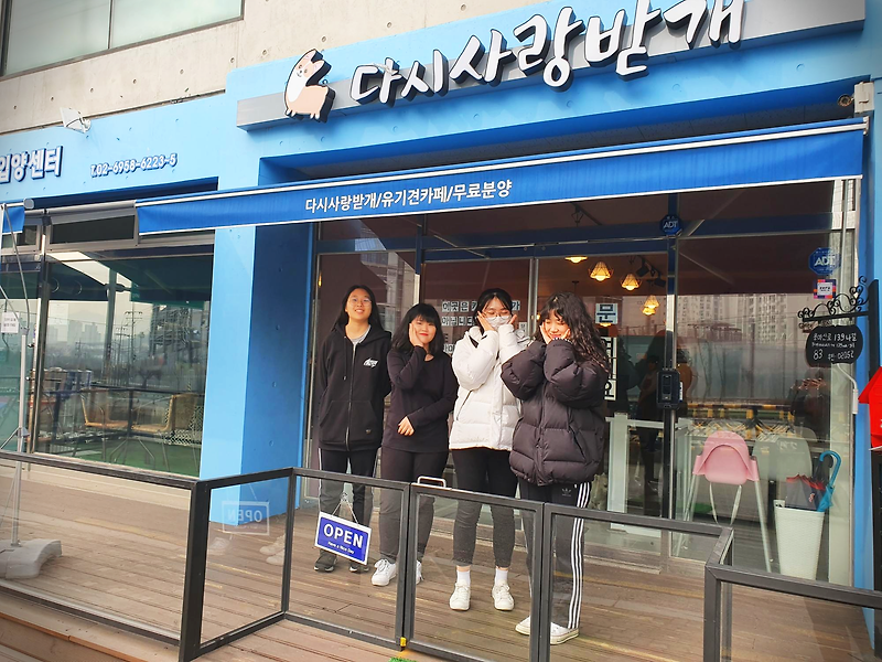 서울 유기견 카페 봉사하러 갔어요~!
