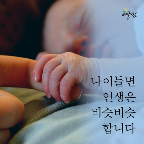 [매일아침좋은글] 나이들면 인생은 비슷비슷 합니다