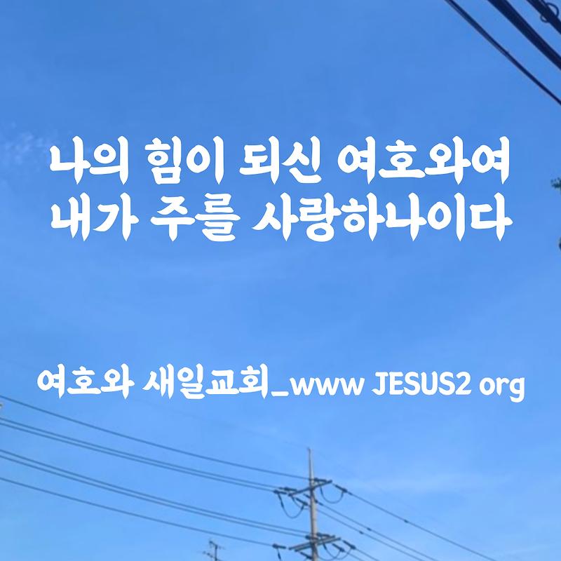 새일교회 이사야 강의 | 44장 하나님의 완전 역사