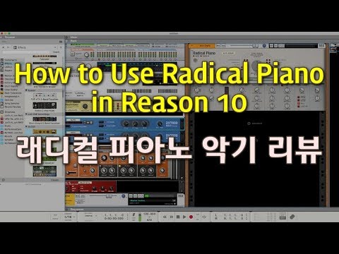 리즌강좌 - 래디컬 피아노(Radical Piano) 악기 리뷰
