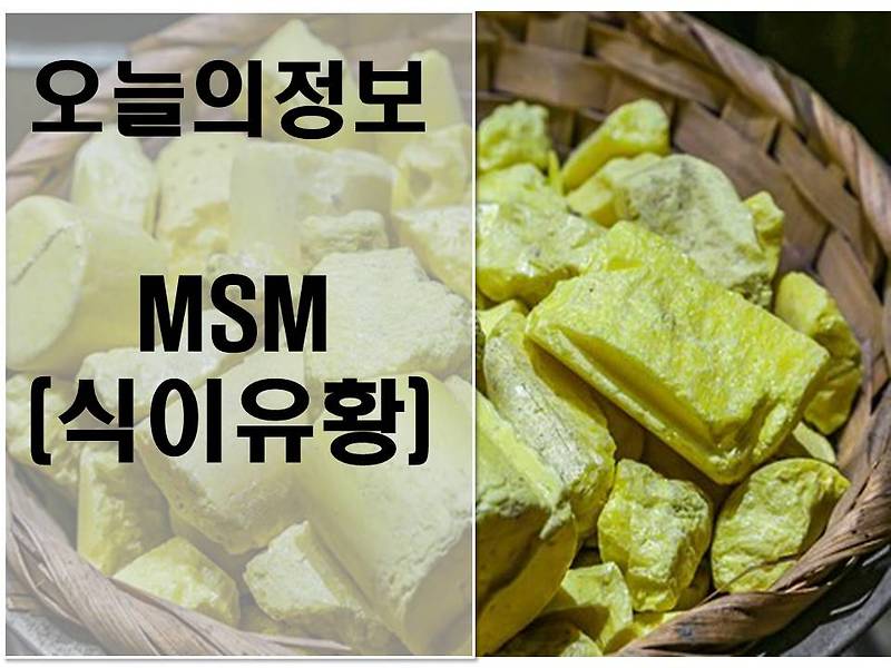 MSM(식이유황)의 효능과 섭취방법 - 오늘의정보!