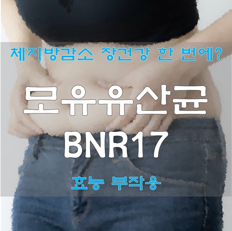 BNR17 효능 부작용 체지방 감소와 장건강을 한 번에! 다이어트유산균 모유유산균BNR17 알아보자 (feat. 비에날씬)