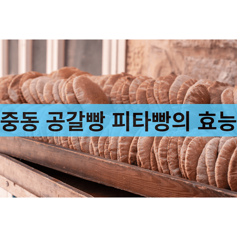 통밀 저칼로리 피타빵의 6가지 효능