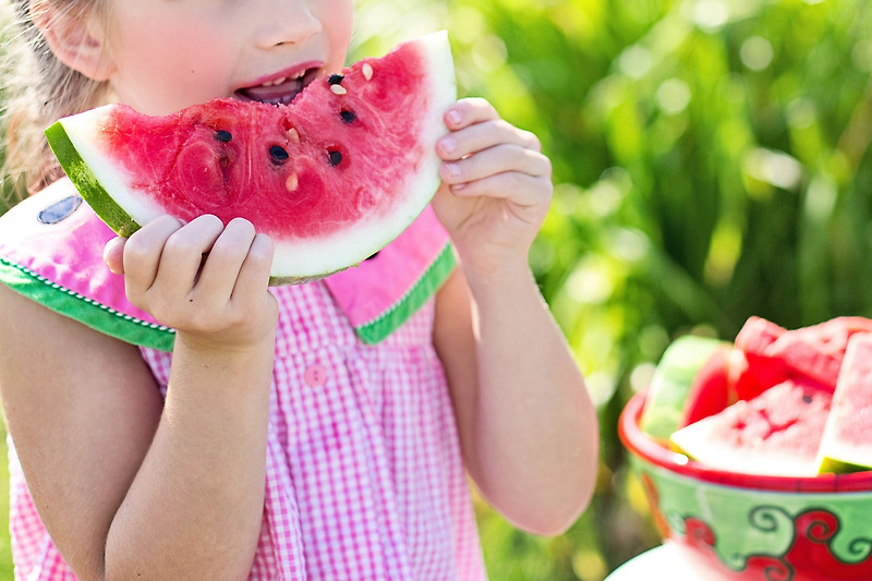 [정보]여름철 최고의 과일 수박의 효능을 알아보자!