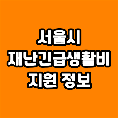 서울시 재난긴급생활비 - 지원 금액, 지원 대상, 신청 방법, 지급 방식, 사용법