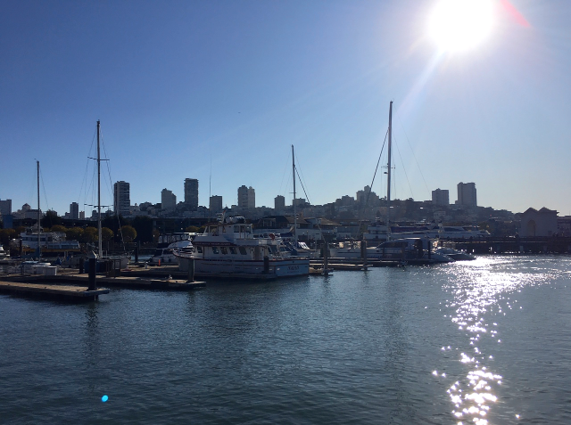 [샌프란시스코 여행] 피어 39 Pier 39 & 피셔맨즈 와프 (무료주차 tip)
