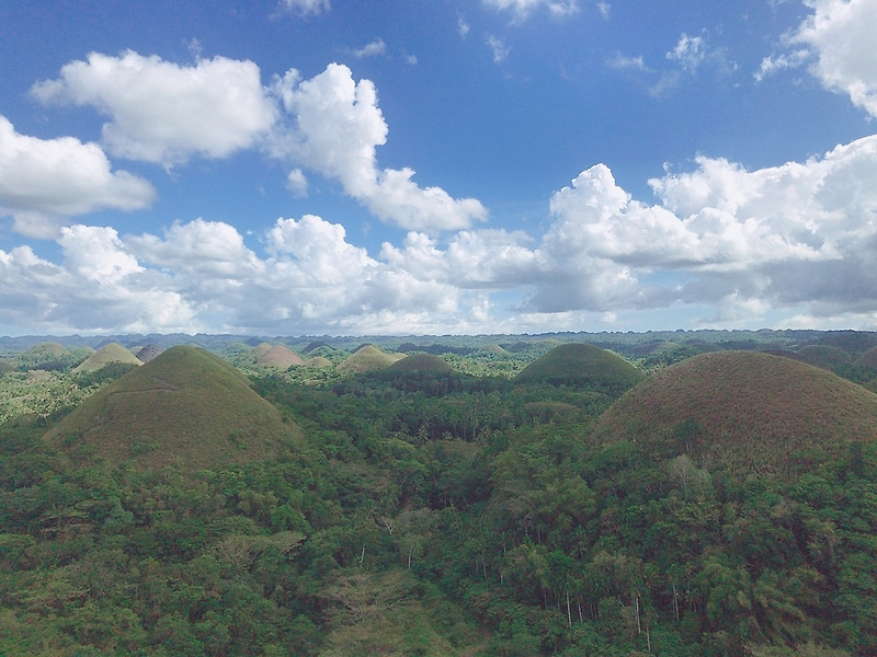 [필리핀/세부 여행] Bohol island 보홀 1일차 : 로복강 선상뷔페/초콜릿섬 ATV/타르시어 원숭이/알로나비치/바클레욘성당/맨메이드포레스트