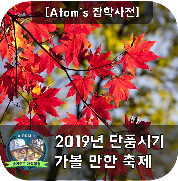 [잡학사전] 2019년 가을단풍 및 가을축제정보