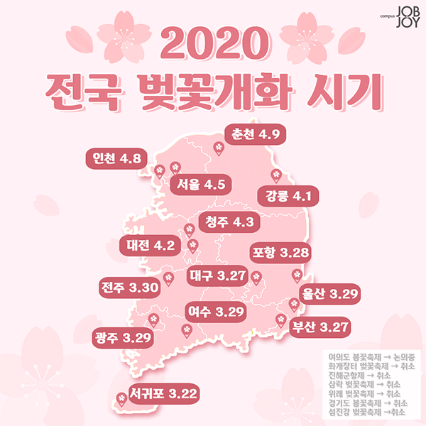 2020년 벚꽃 개화시기