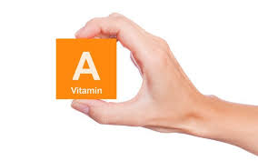 비타민A,비타민A많은음식,루테인,비타민A기능,비타민A추천,레티놀,카로티노이드,레티노이드,비타민영양제