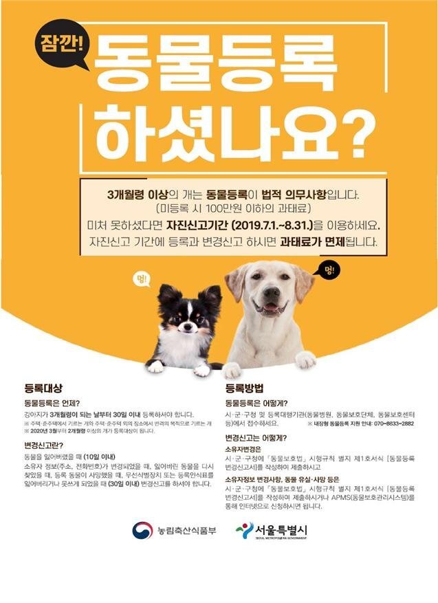 Lynn_kyu [정보] 반려견 동물등록 방법