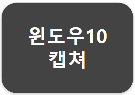윈도우10 캡쳐 단축키 - Win 10 (for 뚜뚜)