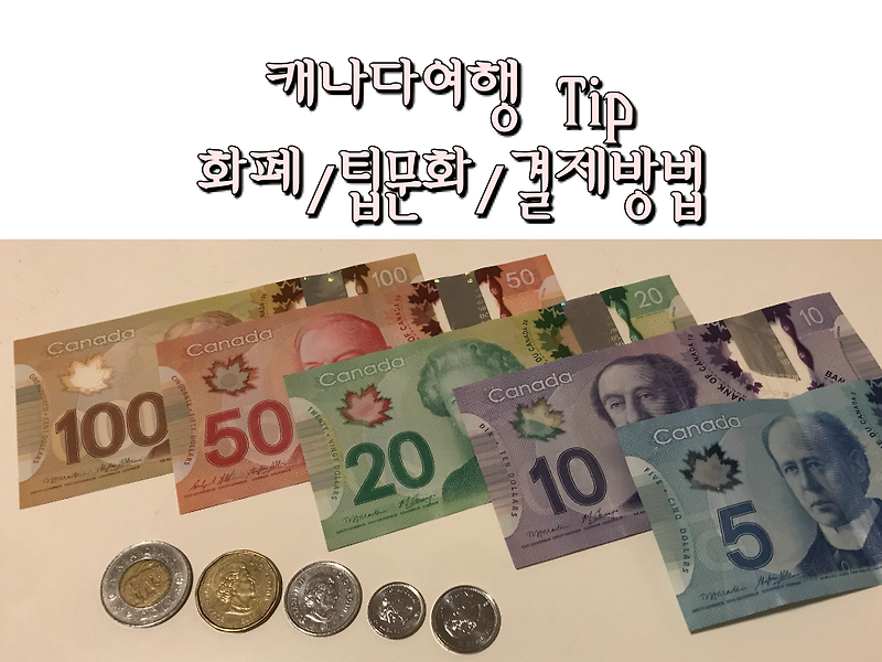[캐나다/토론토 여행] 캐나다 화폐/팁문화/카드결제
