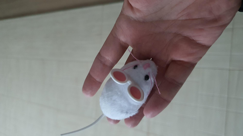 움직이는 쥐 장난감 /헥스버그 마우스캣토이 /내돈내산