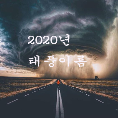 2020년 태풍이름