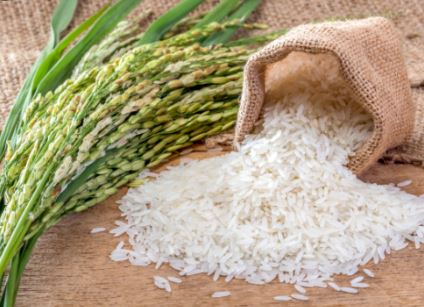 베트남 쌀 수출 금지 관련 파급효과