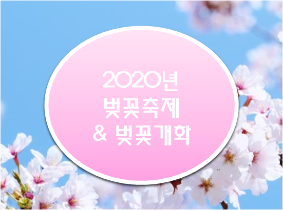 2020년 벚꽃 개화시기, 벚꽃 축제 4월 축제!!!