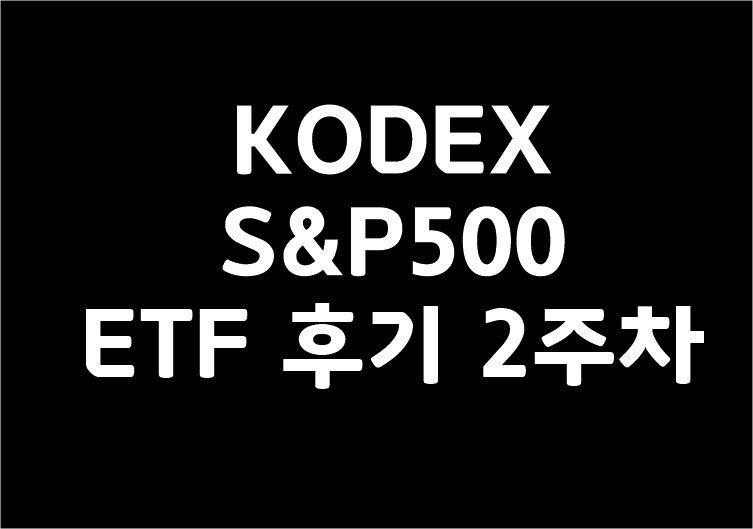 KODEXS&P500 ETF 후기 2주차