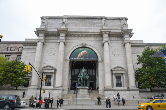 혼자서 떠난 40일간의 미국 자유여행 - New York (Museum)