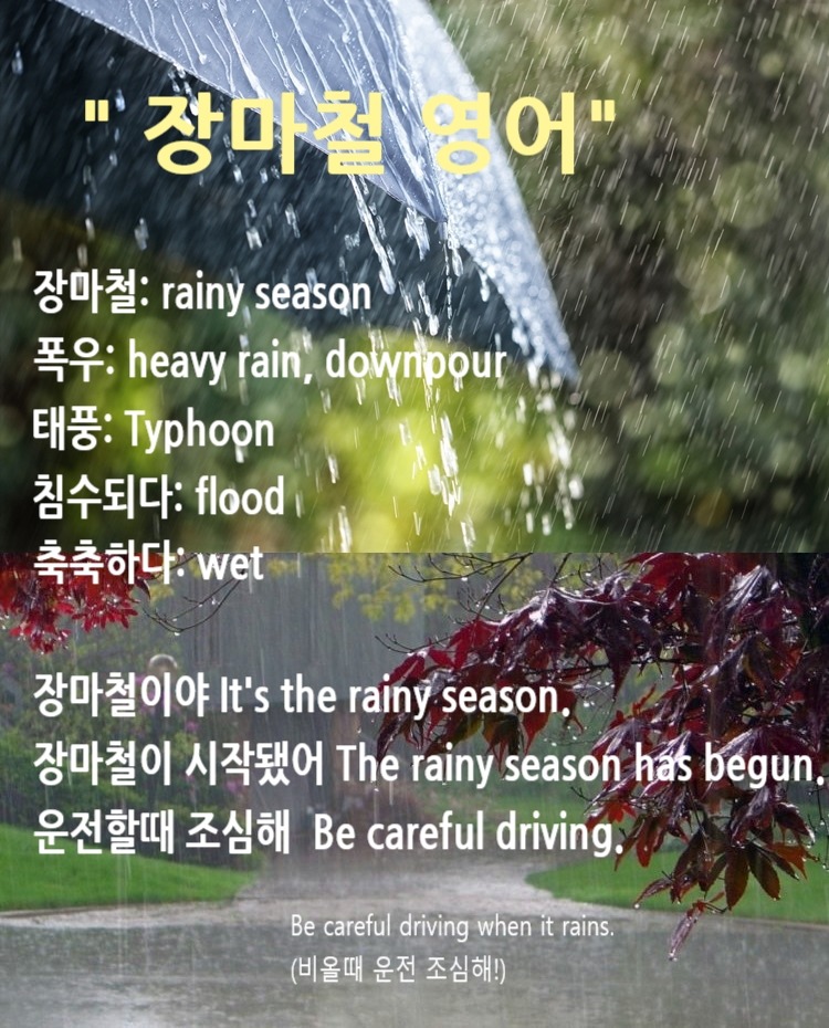 뎅이지 영어회화- 장마철이야 rainy season