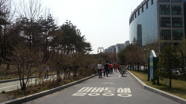 [당일치기 여행, 봄나들이] 서울 여의도공원 / 서울 여의도 가볼만한 곳