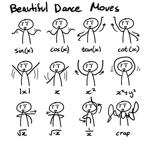 수학 댄스 - Beautiful Mathematical Dance Moves