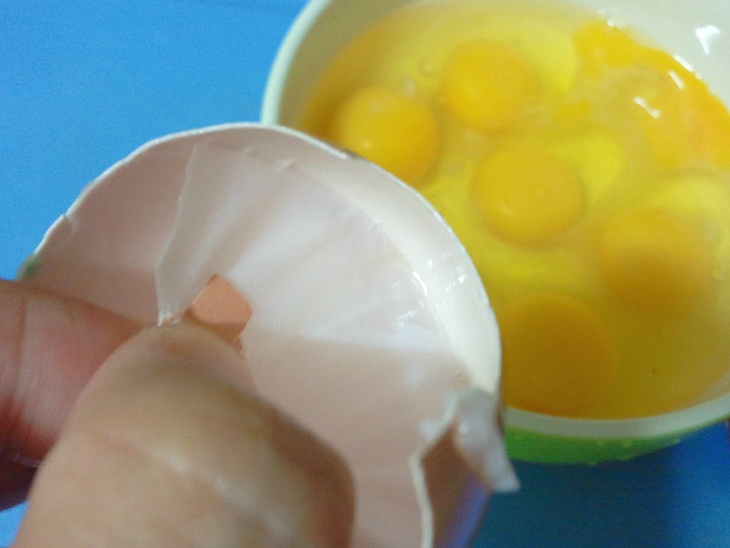 계란 껍질을 이용한 천연칼슘액비 만들기