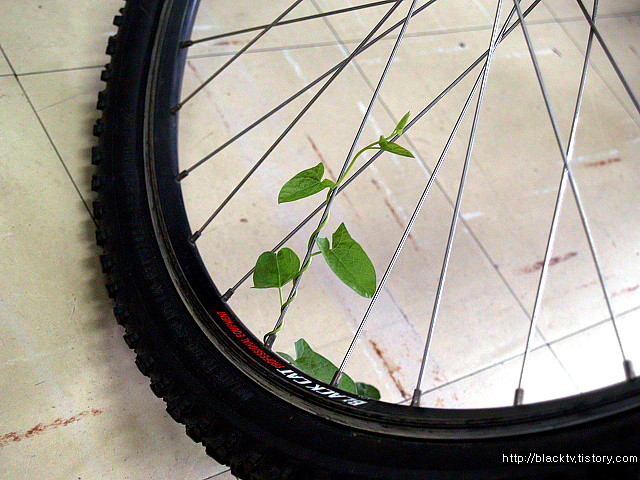 MB가 말한 진짜 녹색 친환경 자전거 소개합니다.