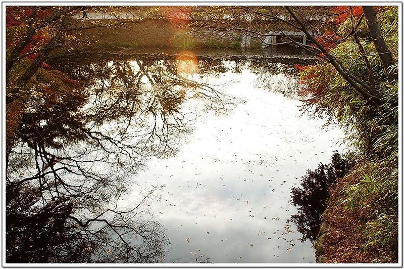 작은 연못에 비친 가을의 아름다움
