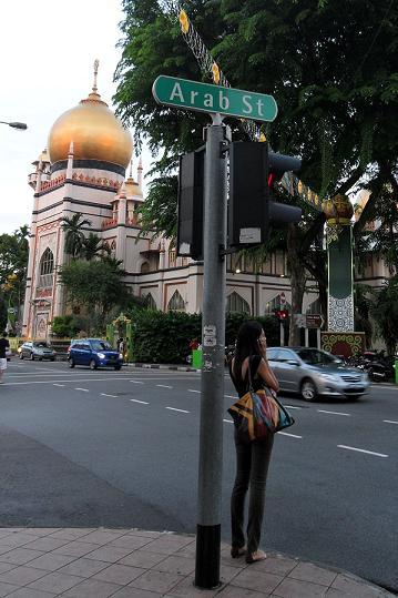 늘씬한 아가씨를 따라간 이슬람 사원과 재래시장 - 싱가포르 여행 12