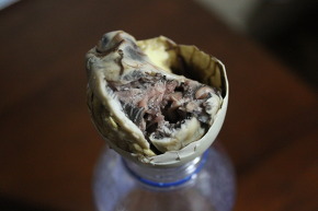 필리핀의 대표적 건강식품, 발룻(Balut).