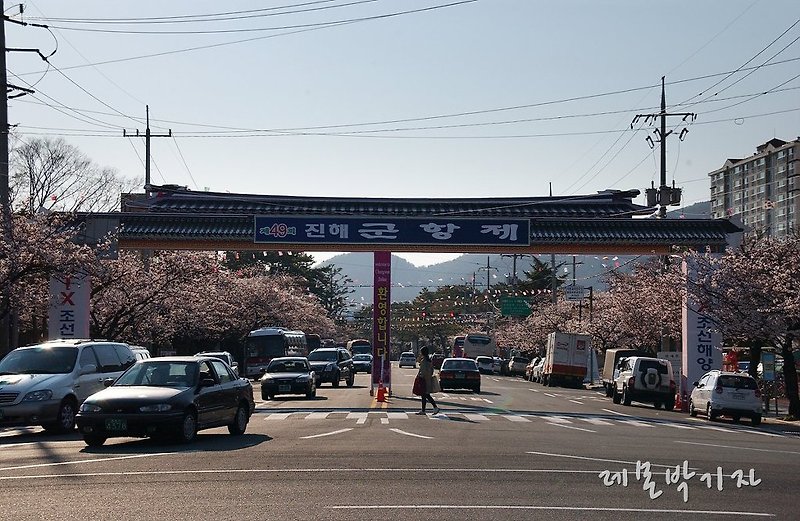 진해군항제, 해군사관학교의 웅장한 벚꽃길을 힘차게 달리다