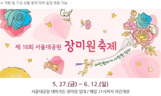 [6월 축제, 가볼만한곳]서울대공원 장미원 축제! + 프로포즈