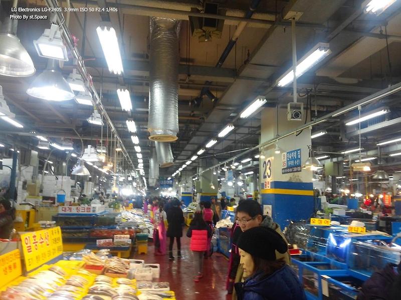 [서울여행] 강서수산물도매시장