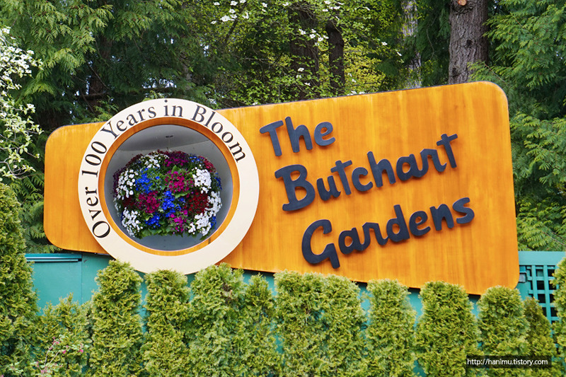 밴쿠버 재외선거 투표 원정기! 밴쿠버 아일랜드 빅토리아 부차드 가든 (Vancouver Island Victoria Butchart Gardens)