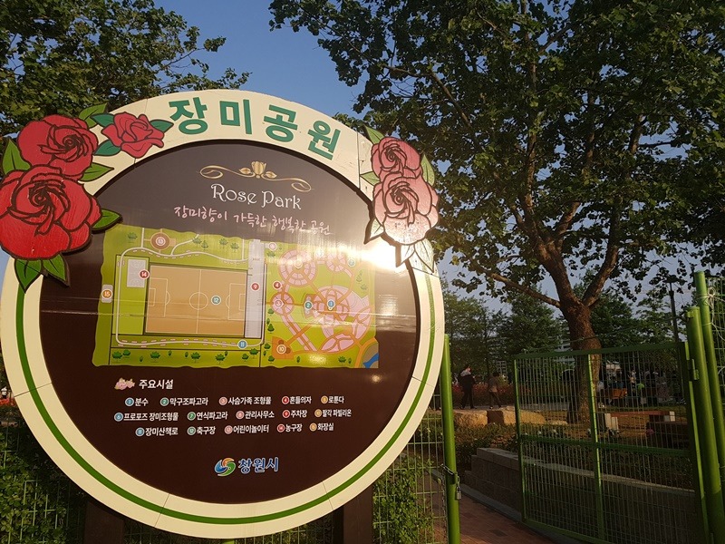창원 장미공원에서 6월에도 향기를 맡다.