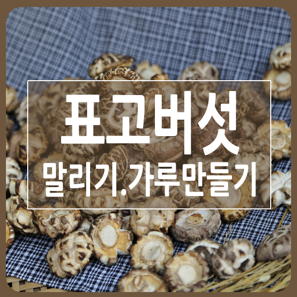 표고버섯말리는법및표고버섯가루 만드는 법