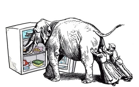 코끼리를 냉장고에 넣는 방법!!!