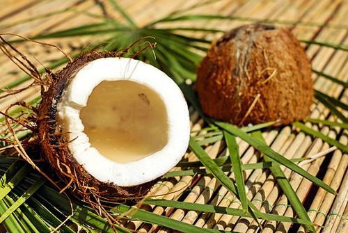 코코넛 오일(Coconut Oil)이 대사증후군 여성  고혈압 조절