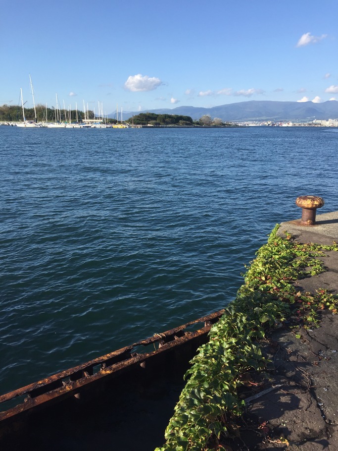 베이 에이리어 가네모리 창고의 스타벅스와 하세가와 스토어의 꼬치 도시락 - 2015 홋카이도(하코다테) 여행 13