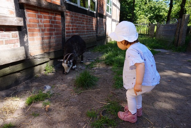 함부르크 근교 아이와 동물원 소풍